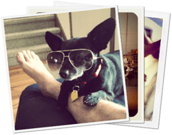 Create a Photo Stack Effect with Pure CSS Animations or MooTools